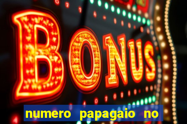 numero papagaio no jogo do bicho